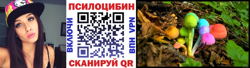 Псилоцибиновые грибы прущие грибы  Венёв 